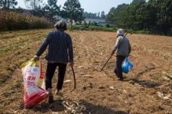 意外:未来5年，农村3种生意“钱途”不错，抓住机会，你也能月入过万