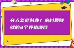 福利:穷人怎么创业？三个项目助你发家致富！