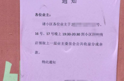 工作经验:他辞去月薪三千多的教师工作，做海外问卷调查月入两万加