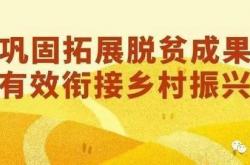 近期发布:国家乡村振兴局今年多举措增强脱贫地区和脱贫群众内生发展动力