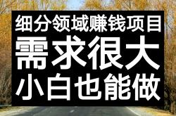 免费:每月多赚3000块的知识付费项目，复制粘贴就能够赚钱