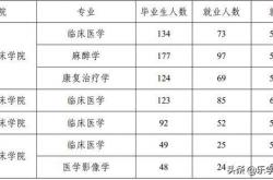 工作经验:文科生最赚钱的专业 哪些专业就业前景好