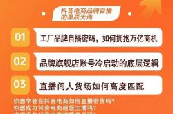 解决方案:适合普通人的四个互联网赚钱项目，看看你适合哪个？