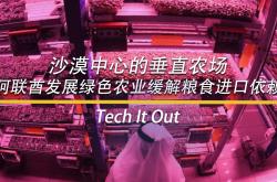 经验:10个农业亏钱、经营困难的案例：做农业不要玩命坚持！