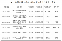 工作经验:大学生零元创业项目