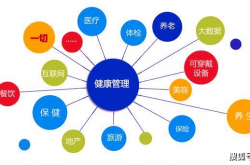 河北某大健康理疗云商项目