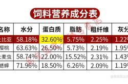 意外:山东男子养殖10亿只蟑螂，鱼菜鸡都离不开它，如今一年收入上千万