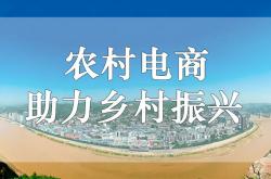 福利:从“电子商务”到“数商兴农”，电商进农村有了哪些新变化？