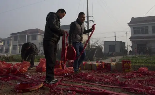 冬季大棚种什么最挣钱_冬季大棚种植什么赚钱_冬季大棚种菜