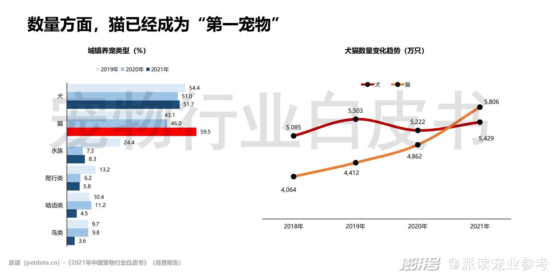 2021年最新手机赚钱项目_2023年手机赚钱新项目_手机赚钱2021