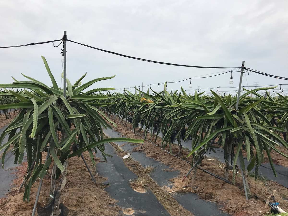 青龙县首富是谁_青龙县致富宝_青龙县首富