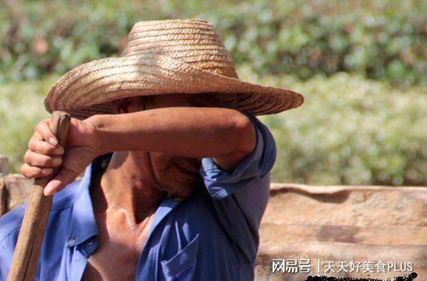 挣钱在家农村干人好吗_农村人在家干什么挣钱_农村在家赚钱