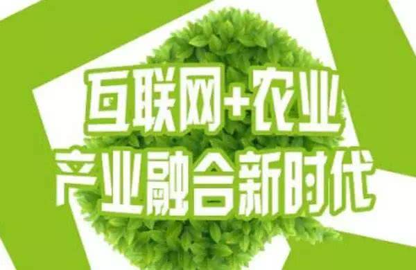 农业创业项目农村致富项目_农业创业项目名称_农业创业好项目