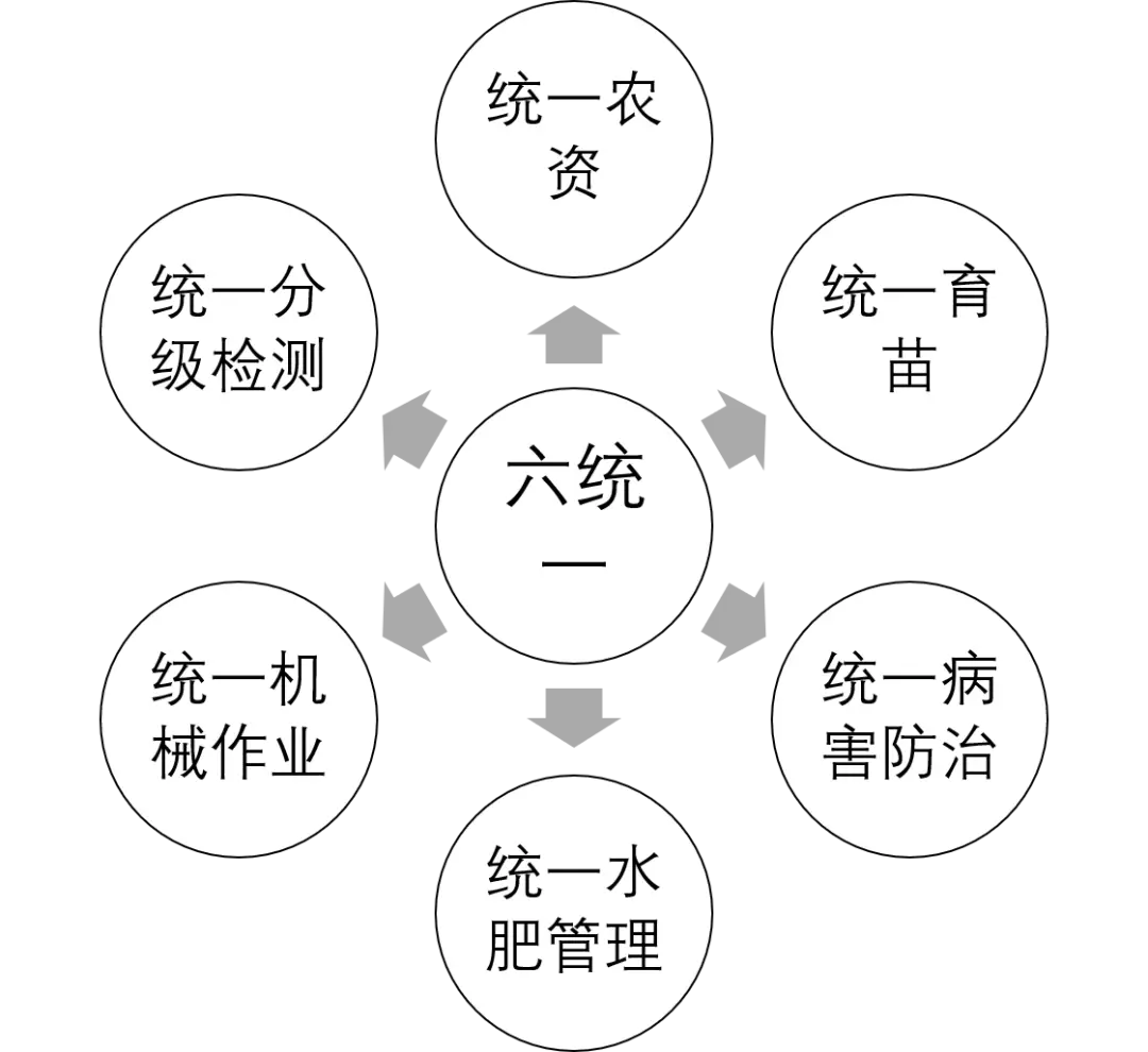 合作社靠什么盈利_合作社靠什么赚钱_农村合作社赚钱容易吗