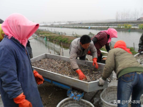 生意赚钱农村做现在可以做吗_生意赚钱农村做现在可以赚钱吗_现在农村可以做什么生意赚钱