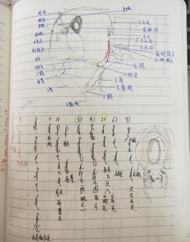 博客挣钱_博客赚钱的十六种方法_如何用博客赚钱