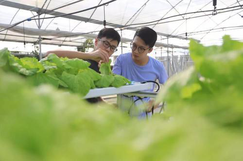 江苏省大学生创业示范基地_江苏省优秀大学生创业项目公示_盐城 江苏省优秀大学生创业项目