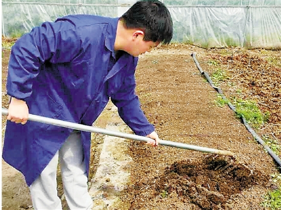 农村创业养殖好项目_农村养殖创业项目大全_农村养殖创业的好项目