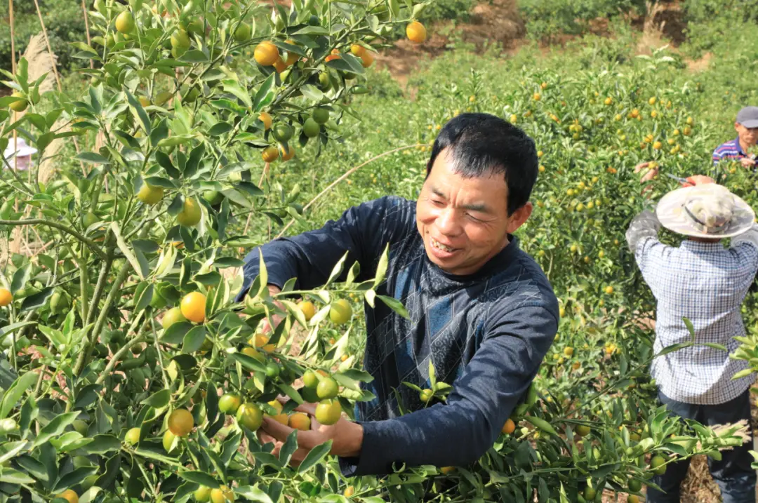 种植赚钱游戏_种植赚钱_种植赚钱可以提现的游戏