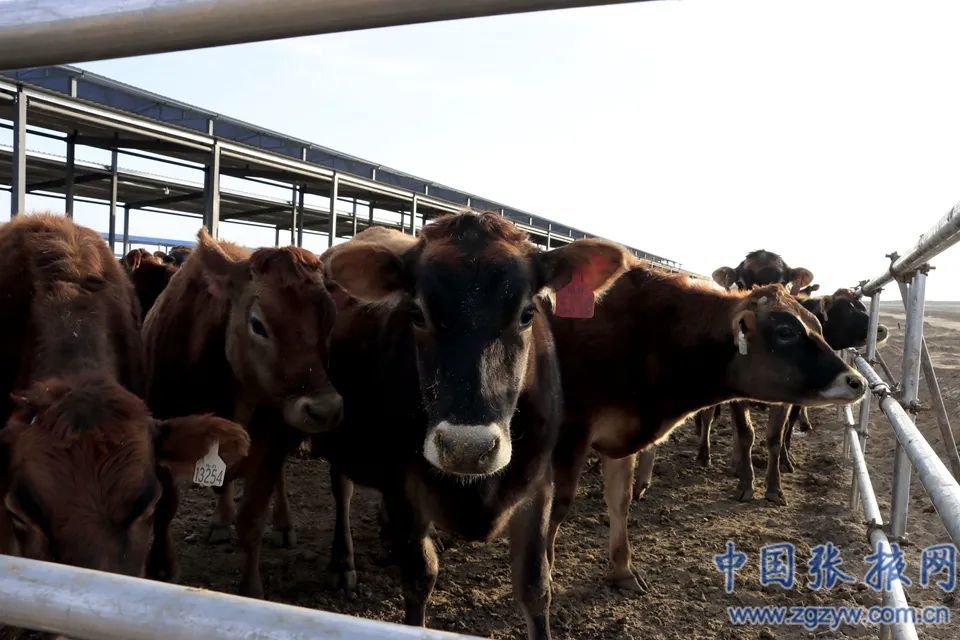 乡村生意赚钱做什么_乡村做什么生意赚钱_乡村生意赚钱做什么生意