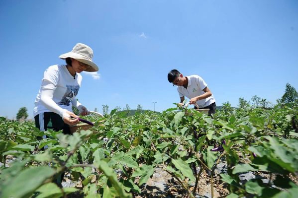 汉中生意好做吗_在汉中农村做什么生意赚钱_汉中生意赚钱农村做什么生意