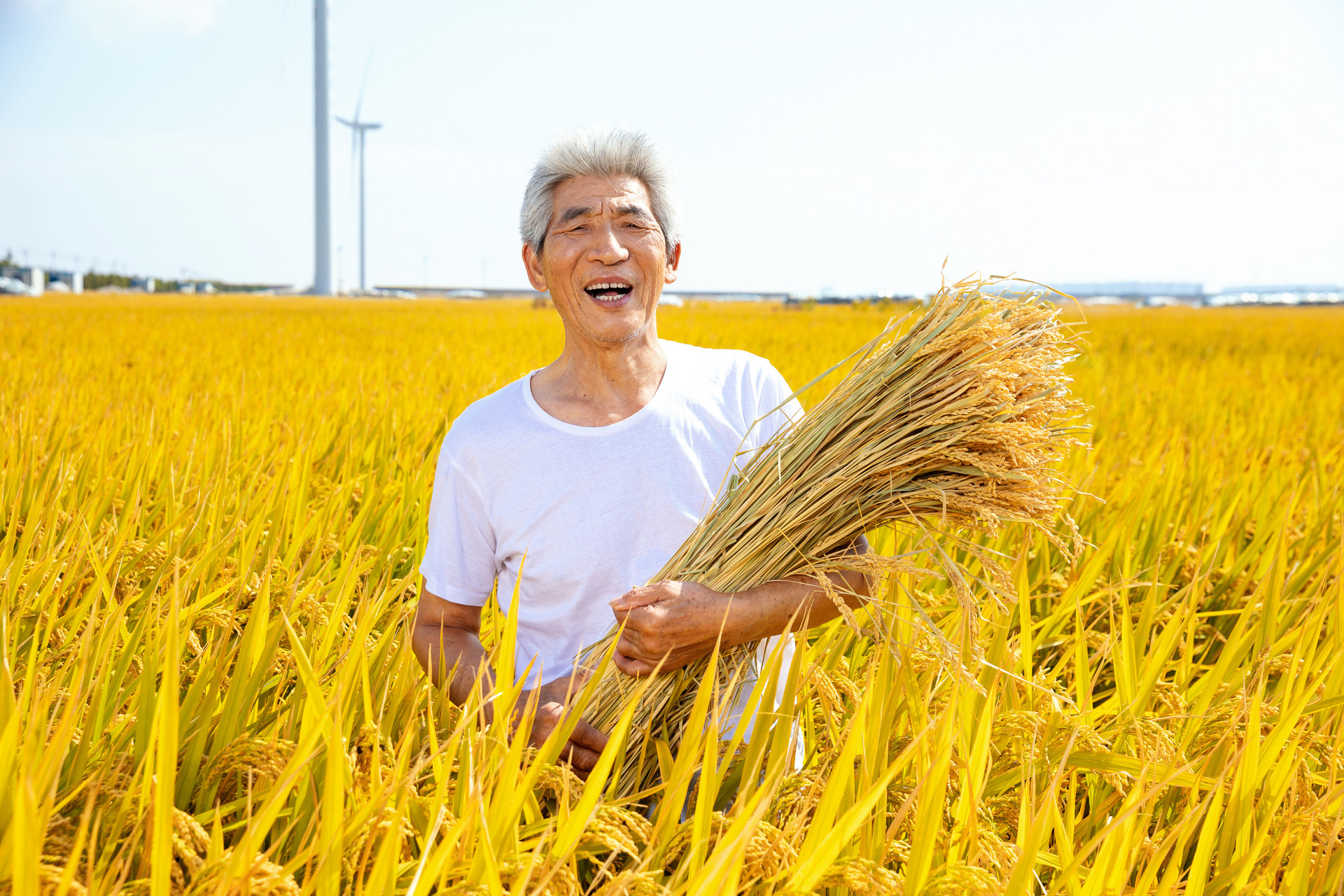 2021年农村开店_过年农村开什么店致富_农村过年适合开什么店