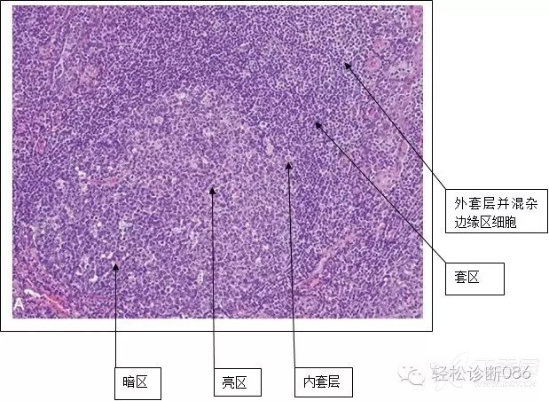 教师外快收入有哪些_外快_教师 外快